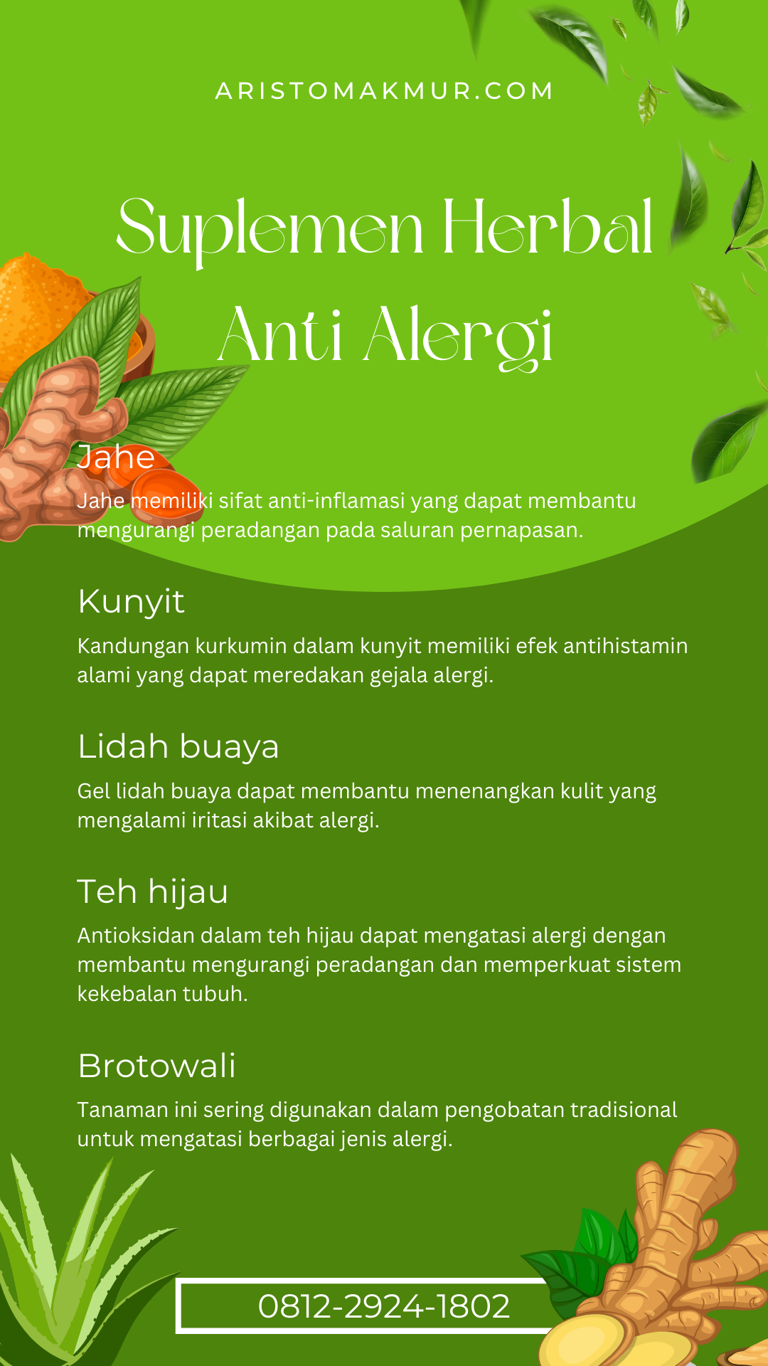 Suplemen Herbal Anti Alergi